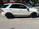 Mercedes-Benz ML 350 AMG BlueTEC 4MATIC  - Mercedes-Benz ML 350: 4matic