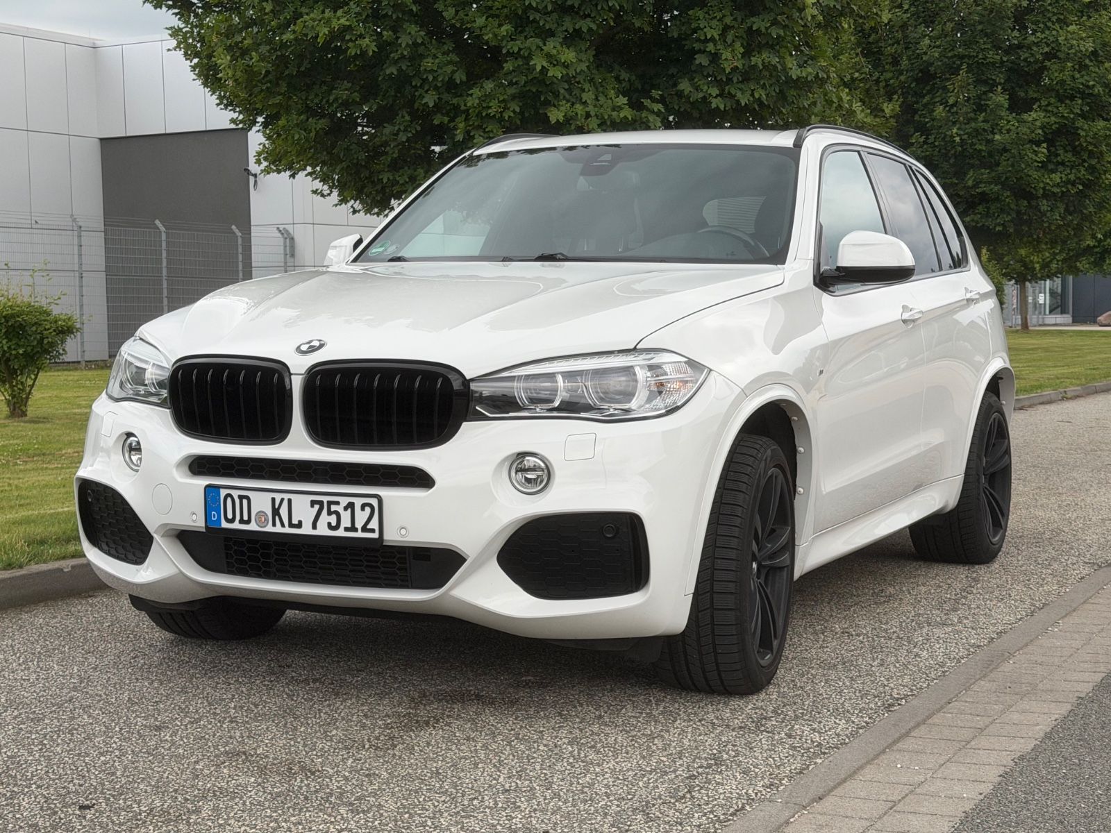 BMW X5 xDrive30d - M Line