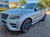 Mercedes-Benz ML 500 4MATIC | AMG | AIRMATIC| Standheizung - Mercedes-Benz ML 500: AMG
