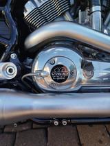 Harley-Davidson V-ROD ,, Sondermodell ´´ Muscle - HARLEY-DAVIDSON ROD