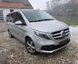 Mercedes-Benz Suche Mercedes Benz V-Klasse 250-300 4-mat... - Suche Gebrauchtwagen