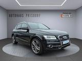 Audi SQ5 3.0 TDI competition quattro Xenon/ACC/B&O - Audi SQ5 mit Schiebedach