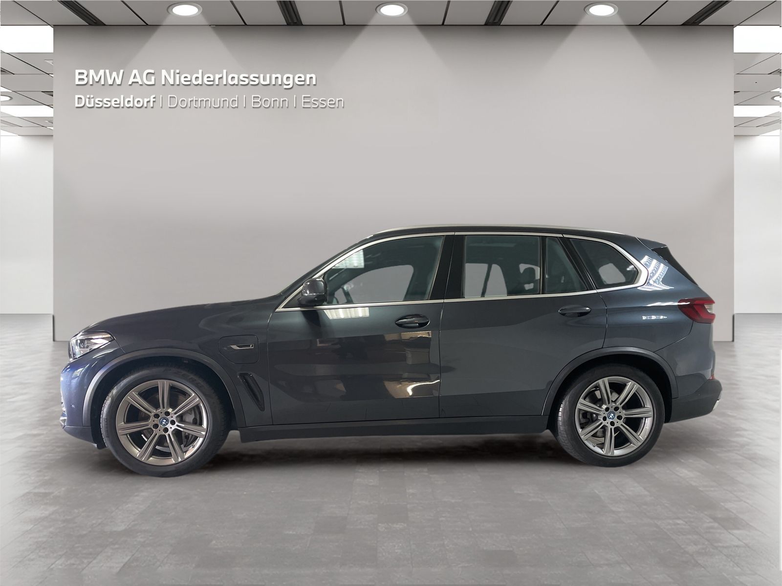 BMW X5 xDrive45e Night Vision Driv.Assist.Prof HiFi foto 3