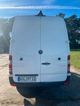 Mercedes-Benz Sprinter 516 CDI 2 Schiebet./Standhzg. /Temp - Mercedes-Benz Sprinter: 5t