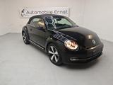Volkswagen Beetle Cabriolet Cup - Volkswagen Beetle: Cup