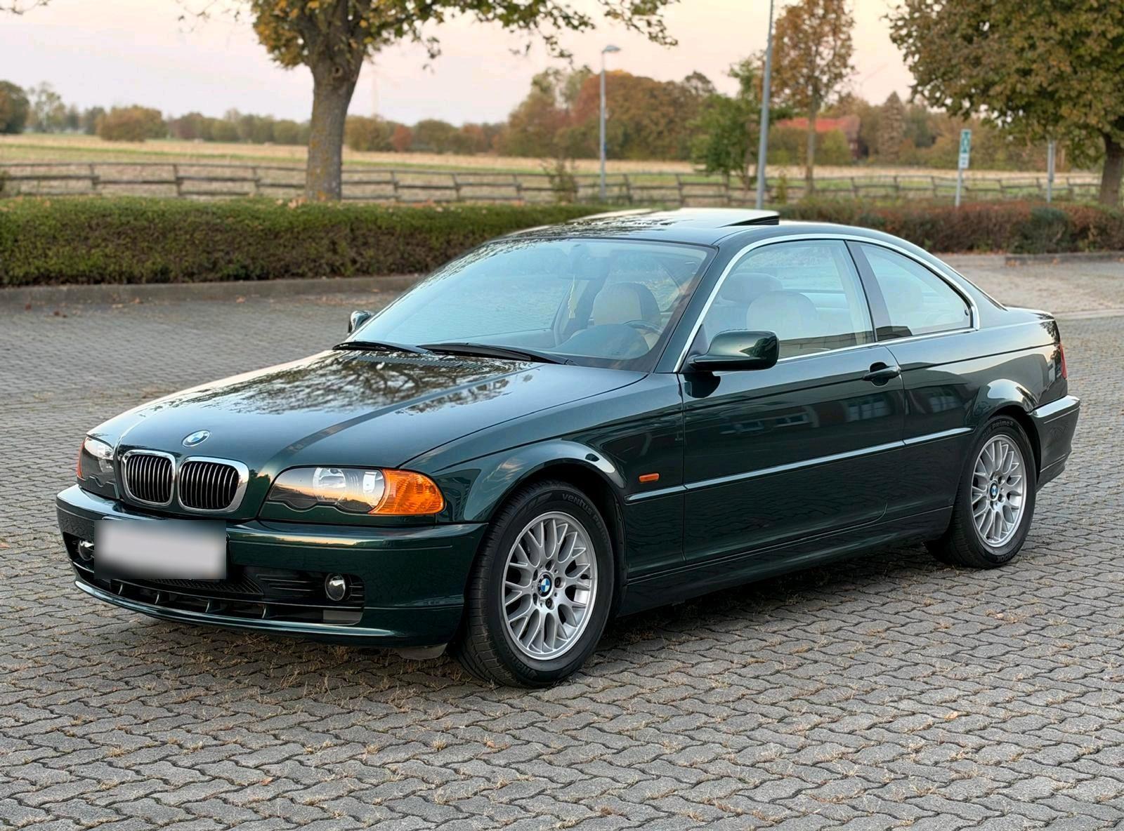 BMW 323