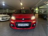 Fiat Panda 1.2 KLIMA PDC ISOFIX EL. FENSTERHEBER - Fiat Panda: Rot