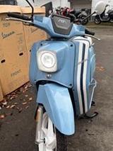 e-Schwalbe 50er 45 km/h Lithium-Akku tragbar Bis zu 100 KM  - E-SCHWALBE MOTORRAD