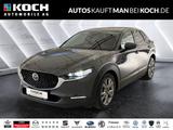 Mazda CX-30 SKYACTIV-G 2.0 M-Hybrid 150 SELECTION Navi