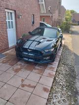 Ford Mustang 3.7 V6 - Ford Mustang: Cabrio, V6