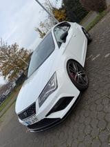 Seat Leon CUPRA 300 DSG NO OPF - Seat Leon Gebrauchtwagen in Köln
