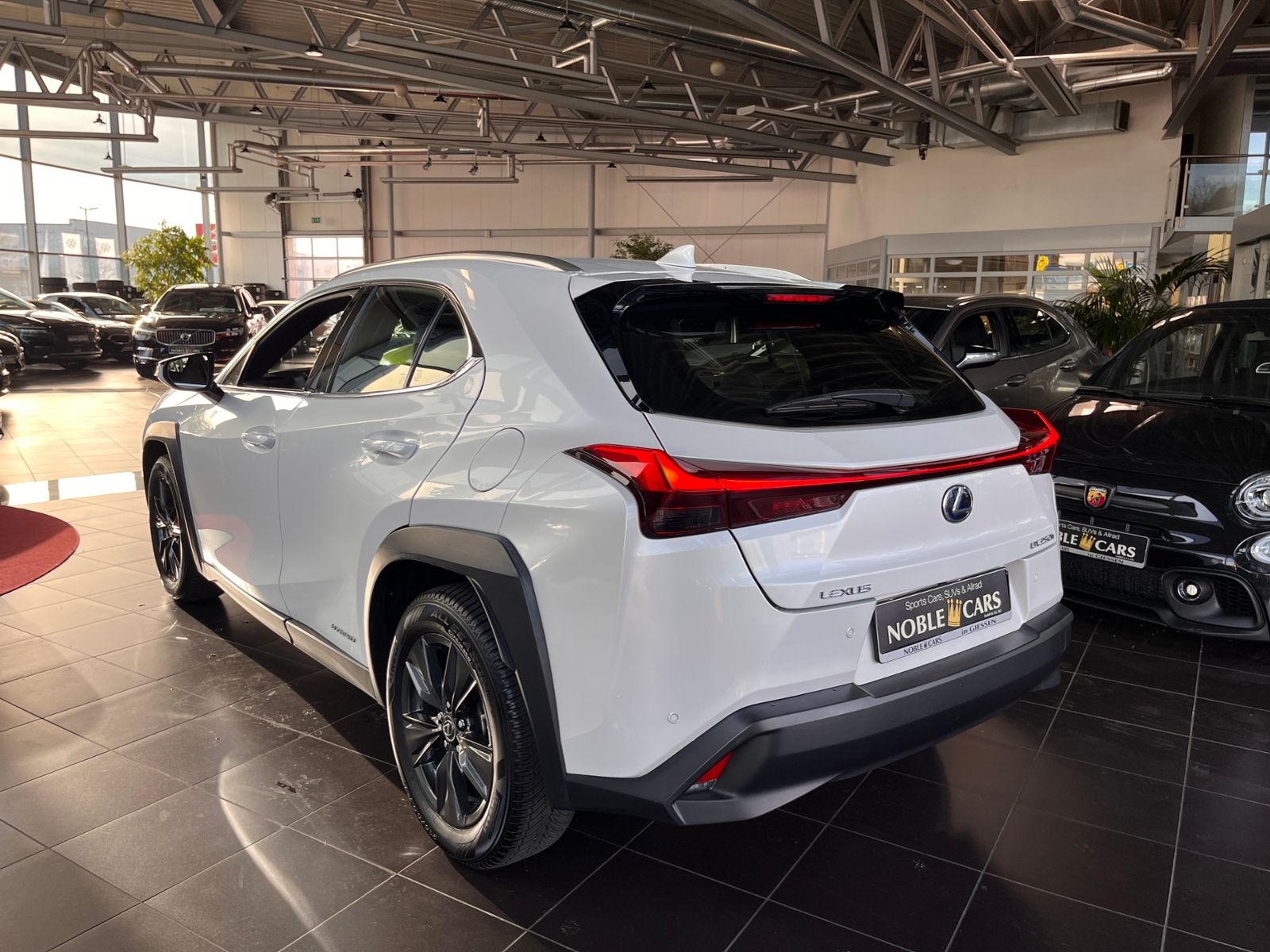 Fahrzeugabbildung Lexus UX 250 h Launch Edition LED NAV SHZ RFK