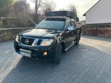 Nissan Navara Pick-Up V6 Diesel 4x4 TÜV 07... - Nissan Navara: V6