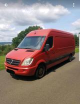 Mercedes-Benz Sprinter 313Cdi Hoch und Lan... - Mercedes-Benz Sprinter aus 2007: 313 Cdi