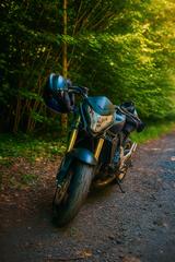 Honda CB 600 FA Hornet  - Honda Motorräder in Köln