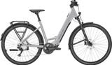 BULLS CROSS LITE EVO SX 1 L - 29" - BULLS E-Bikes