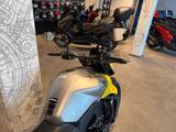 Honda CB750 Hornet 2026 Goldfish Yellow *sofort verfüg - HONDA NAKED BIKE