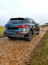 Audi Q5 3.0 TDI quattro s line air acc StHz pano - Audi Q5 Gebrauchtwagen in Leipzig