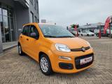 Fiat Panda Base *Hybrid, Klimaanlage* - Fiat Panda mit Hybrid-Antrieb