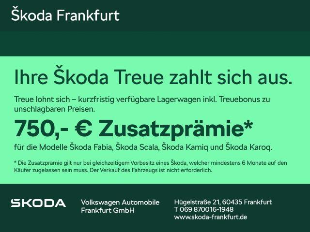 Skoda Fabia Tour 1,0 TSI 85 kW 7-Gang-DSG zzgl. 750€ Z