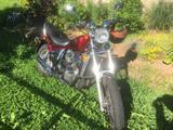Honda CX 650C - HONDA 1983