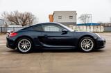 Porsche Cayman 981 PDK - PERFECT CONDITION - Porsche: 981