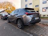 Lexus UX 250h Style Edition  - Lexus Gebrauchtwagen in Nürnberg