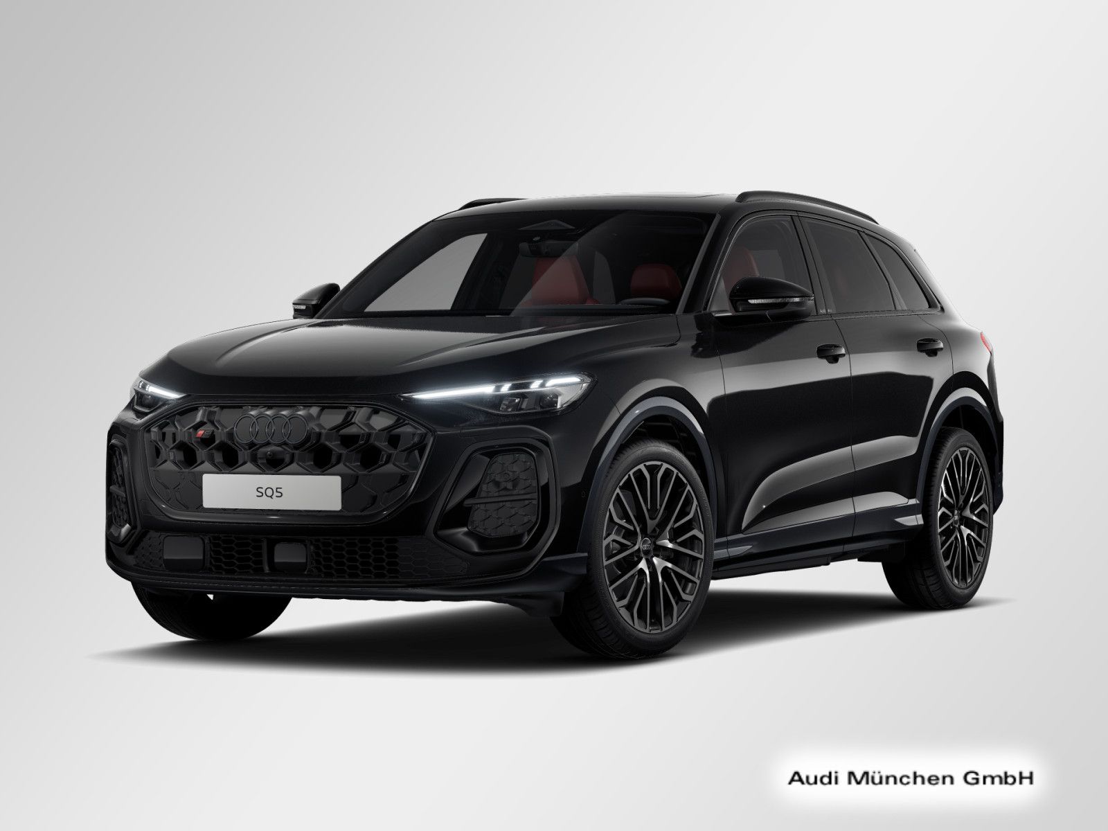Audi SQ5 - Bild 3