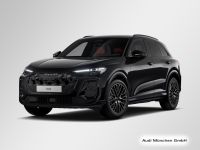 Audi SQ5 - Vorschau Bild 3