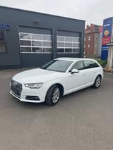 Audi A4 B8 3.0 TDI V6 - Audi A4: Kombi, V6