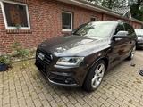 Audi SQ5 3.0 TDI comp. tiptr. quattro - - Audi SQ5 in Oldenburg