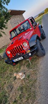 Jeep Wrangler 3.6l V6 Rubicon Pure - Jeep Wrangler: Rubicon