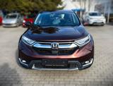 Honda CR-V - Honda aus 2018