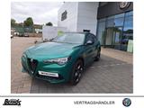 Alfa Romeo Stelvio 2.2D Veloce GLASDACH AHK PREMIUM-AUDIO - Alfa Romeo Stelvio Neuwagen