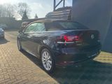 Volkswagen Golf VI Cabriolet Exclusive BMT Leder - mit Diesel-Antrieb: Roadster