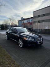 Jaguar XF 2.7 Diesel Premium Luxury - Jaguar XF in Duisburg