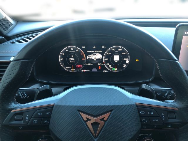 Cupra Formentor 2.0 TSI VZ 4Drive*BEATS*MATTLACK*AHK