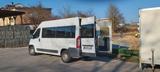Fiat Ducato - gebrauchte Fiat Ducato aus dem Jahr 2007
