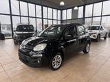 Fiat Panda Lounge/Klima - Fiat Panda: Schwarz