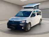 Volkswagen CALIFORNIA REIMO AUSBAU MIT AUFSTELLDACH - Volkswagen: Kleinbus, mit Aufstelldach