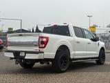 Ford F 150/Navi/Kamera/SHZ/LKH/Pano/Prins Gasanlage - Ford F 150 mit LPG-Antrieb: Automatik