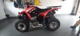 Kymco KXR 250 - KYMCO QUAD KXR 250