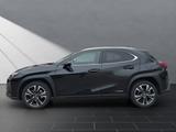 Lexus UX 250h*STYLE*1HD*VELOURS* 15J-GARANTIE* - schwarze Lexus UX