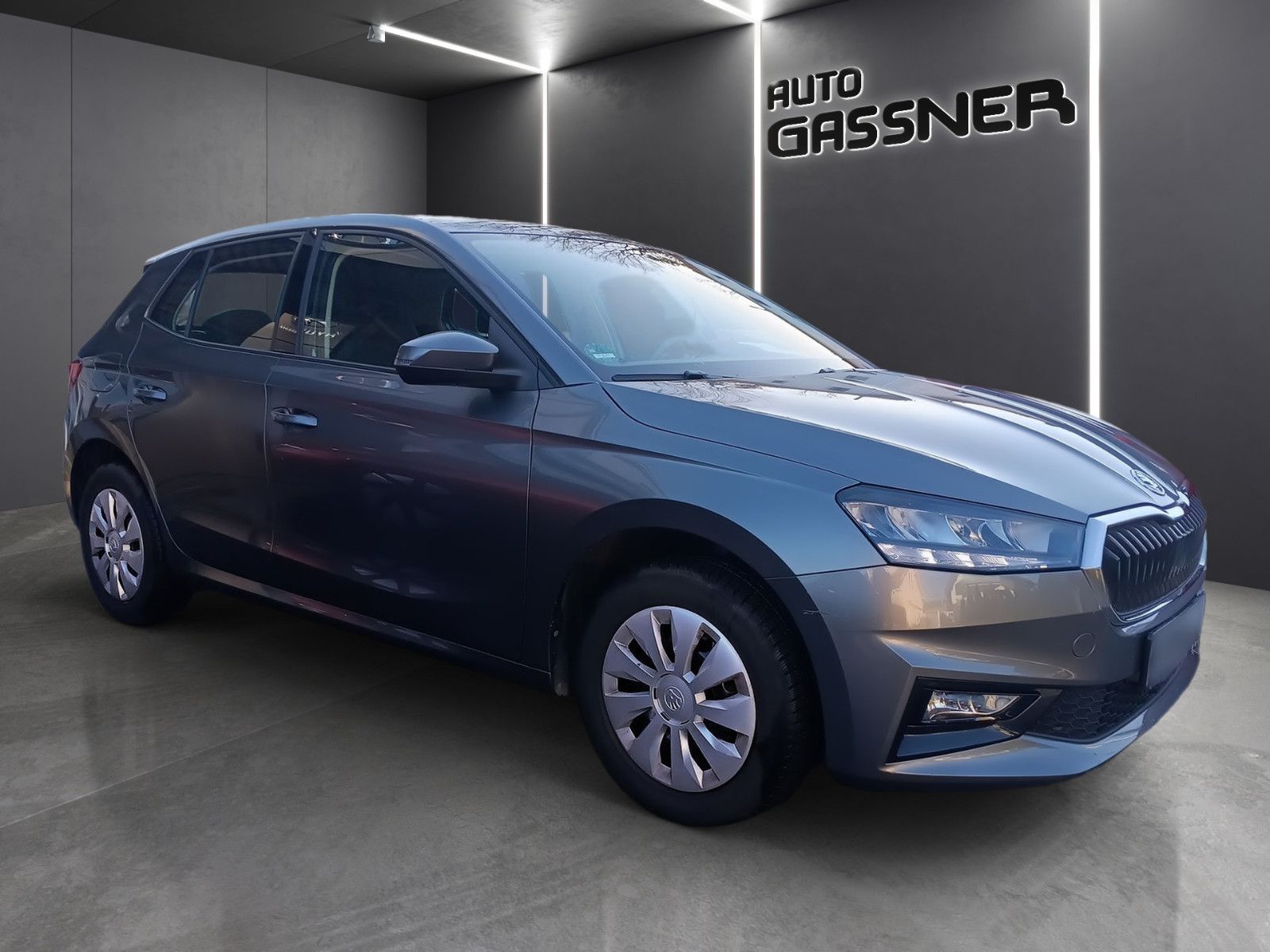 Fahrzeugabbildung SKODA FABIA 1.0 TSI Selection GRA PDC Sitzheiz.