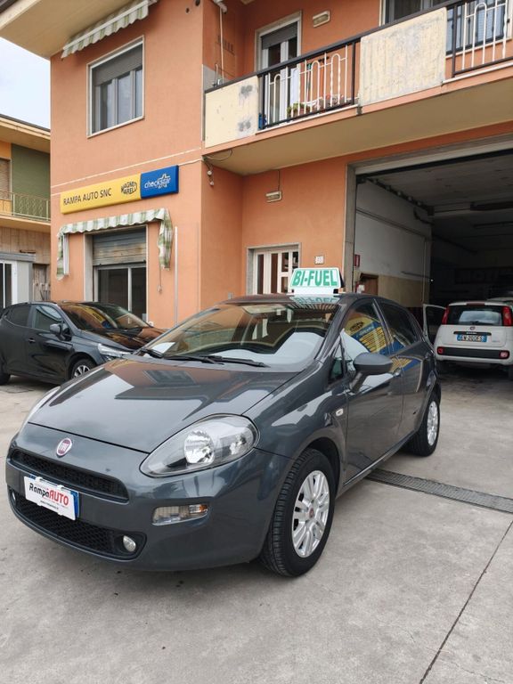 Image of Fiat Punto