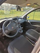Fiat fiat panda - Fiat Panda Gebrauchtwagen in Münster