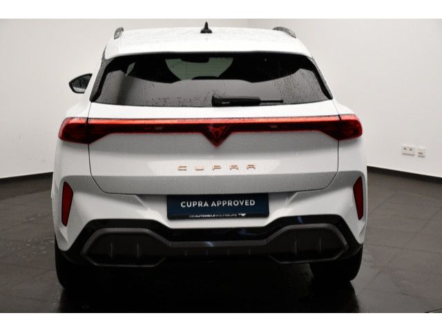 Cupra Terramar - Bild 19