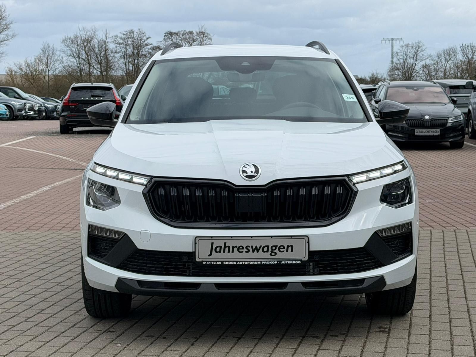 Fahrzeugabbildung SKODA Kamiq Selection