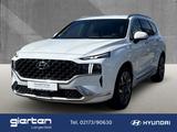 Hyundai SANTA FE ''Signature'' Leder 360 Kamera Klimasit - Hyundai SANTA FE in Leverkusen