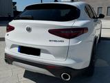 Alfa Romeo Stelvio 2.0 Turbo - Volleder - Alfisti spezial - scheckheftgepflegte Alfa Romeo Gebrauchtwagen